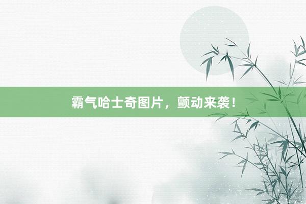 霸气哈士奇图片，颤动来袭！