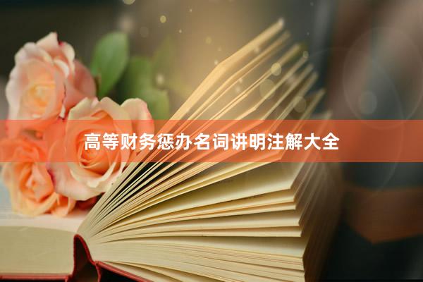 高等财务惩办名词讲明注解大全